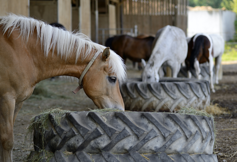 waste disposal waste collectors